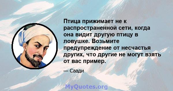 Птица прижимает не к распространенной сети, когда она видит другую птицу в ловушке. Возьмите предупреждение от несчастья других, что другие не могут взять от вас пример.