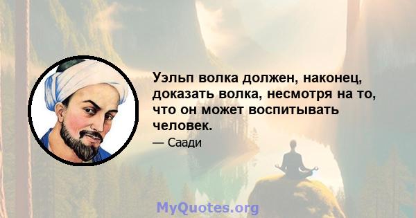 Уэльп волка должен, наконец, доказать волка, несмотря на то, что он может воспитывать человек.