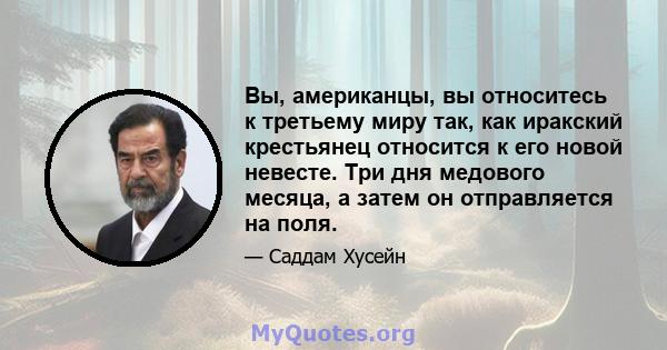 Вы, американцы, вы относитесь к третьему миру так, как иракский крестьянец относится к его новой невесте. Три дня медового месяца, а затем он отправляется на поля.