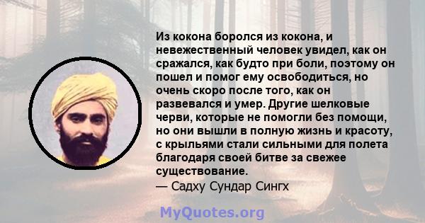 Из кокона боролся из кокона, и невежественный человек увидел, как он сражался, как будто при боли, поэтому он пошел и помог ему освободиться, но очень скоро после того, как он развевался и умер. Другие шелковые черви,