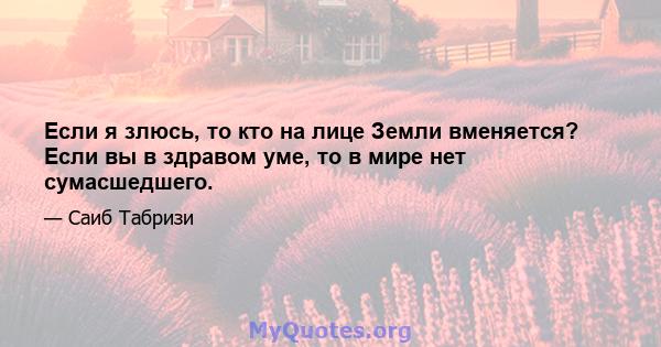 Если я злюсь, то кто на лице Земли вменяется? Если вы в здравом уме, то в мире нет сумасшедшего.