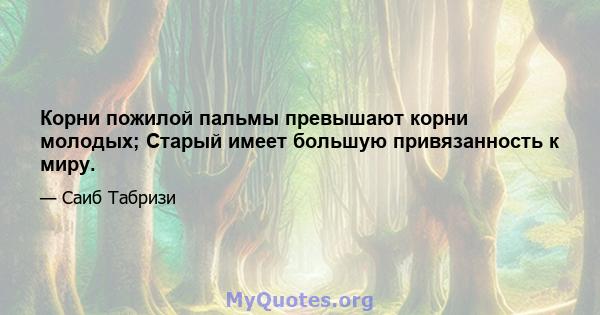 Корни пожилой пальмы превышают корни молодых; Старый имеет большую привязанность к миру.