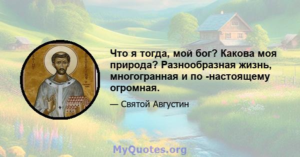 Что я тогда, мой бог? Какова моя природа? Разнообразная жизнь, многогранная и по -настоящему огромная.