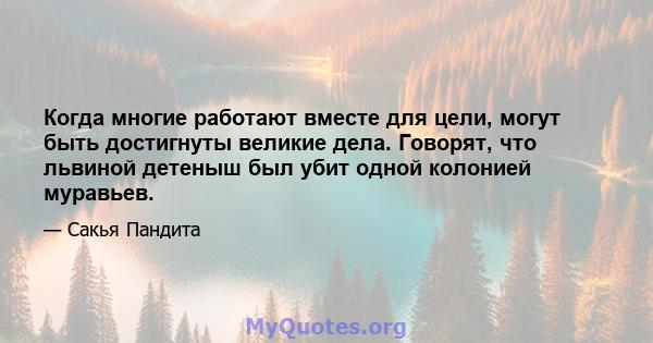 Когда многие работают вместе для цели, могут быть достигнуты великие дела. Говорят, что львиной детеныш был убит одной колонией муравьев.