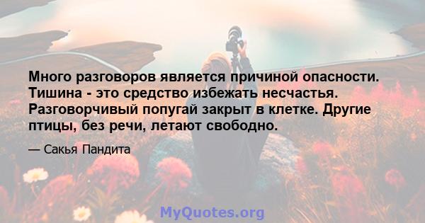 Много разговоров является причиной опасности. Тишина - это средство избежать несчастья. Разговорчивый попугай закрыт в клетке. Другие птицы, без речи, летают свободно.