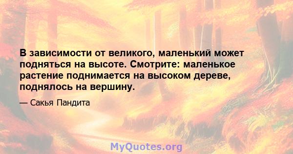 В зависимости от великого, маленький может подняться на высоте. Смотрите: маленькое растение поднимается на высоком дереве, поднялось на вершину.