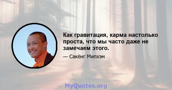 Как гравитация, карма настолько проста, что мы часто даже не замечаем этого.