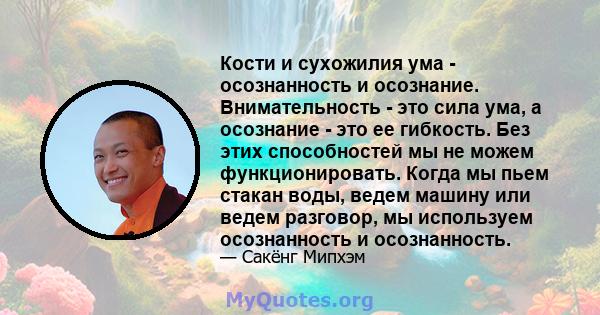 Кости и сухожилия ума - осознанность и осознание. Внимательность - это сила ума, а осознание - это ее гибкость. Без этих способностей мы не можем функционировать. Когда мы пьем стакан воды, ведем машину или ведем