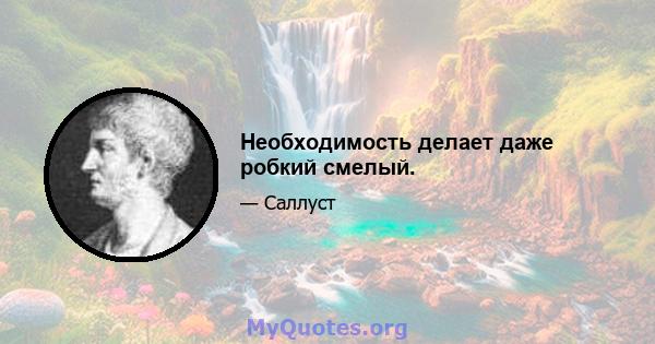 Необходимость делает даже робкий смелый.