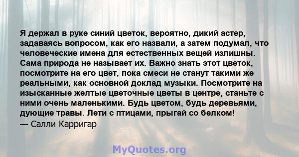 Я держал в руке синий цветок, вероятно, дикий астер, задаваясь вопросом, как его назвали, а затем подумал, что человеческие имена для естественных вещей излишны. Сама природа не называет их. Важно знать этот цветок,