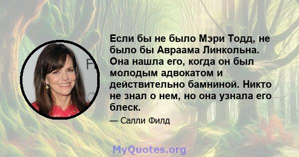 Если бы не было Мэри Тодд, не было бы Авраама Линкольна. Она нашла его, когда он был молодым адвокатом и действительно бамниной. Никто не знал о нем, но она узнала его блеск.