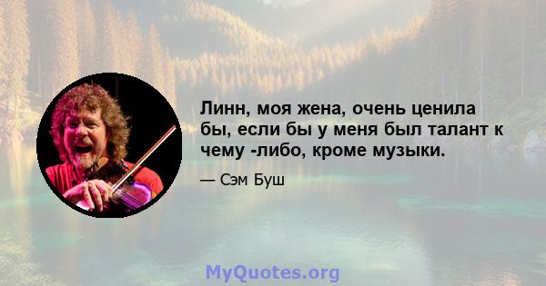 Линн, моя жена, очень ценила бы, если бы у меня был талант к чему -либо, кроме музыки.