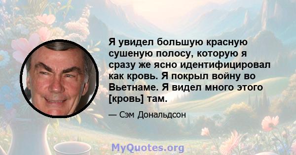 Я увидел большую красную сушеную полосу, которую я сразу же ясно идентифицировал как кровь. Я покрыл войну во Вьетнаме. Я видел много этого [кровь] там.