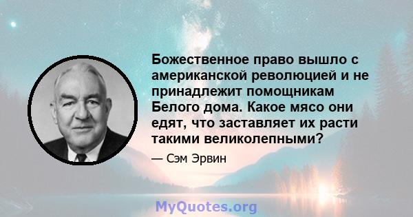 Божественное право вышло с американской революцией и не принадлежит помощникам Белого дома. Какое мясо они едят, что заставляет их расти такими великолепными?