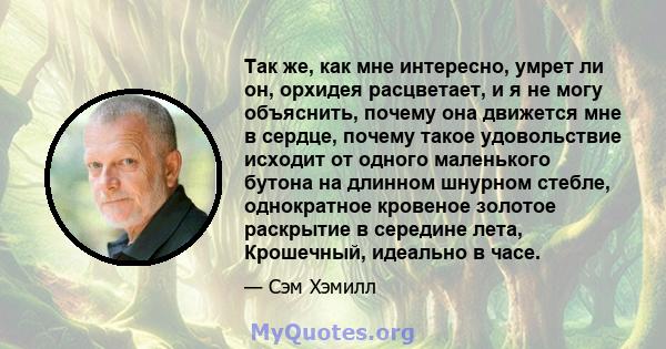 Так же, как мне интересно, умрет ли он, орхидея расцветает, и я не могу объяснить, почему она движется мне в сердце, почему такое удовольствие исходит от одного маленького бутона на длинном шнурном стебле, однократное