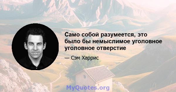 Само собой разумеется, это было бы немыслимое уголовное уголовное отверстие