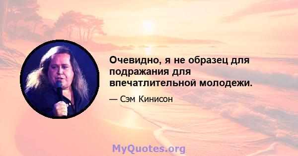 Очевидно, я не образец для подражания для впечатлительной молодежи.