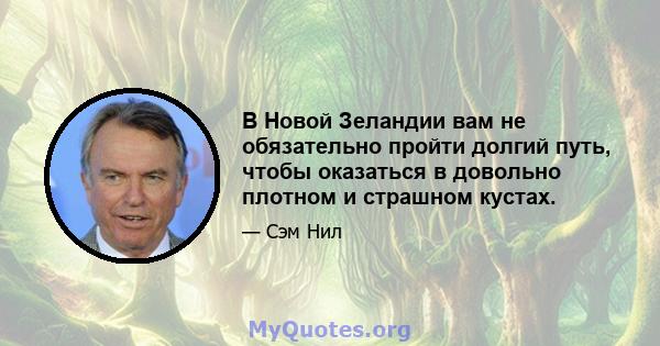 В Новой Зеландии вам не обязательно пройти долгий путь, чтобы оказаться в довольно плотном и страшном кустах.