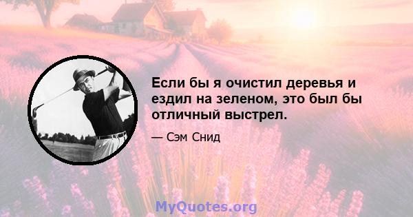 Если бы я очистил деревья и ездил на зеленом, это был бы отличный выстрел.