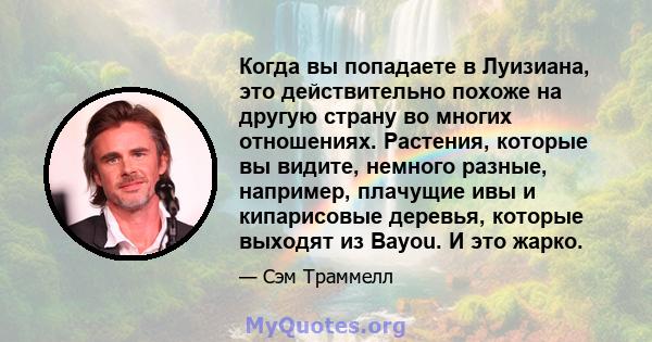 Когда вы попадаете в Луизиана, это действительно похоже на другую страну во многих отношениях. Растения, которые вы видите, немного разные, например, плачущие ивы и кипарисовые деревья, которые выходят из Bayou. И это