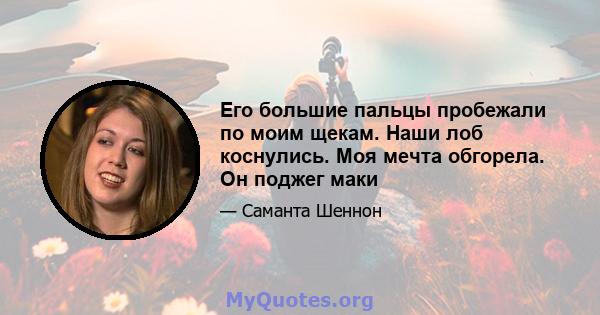 Его большие пальцы пробежали по моим щекам. Наши лоб коснулись. Моя мечта обгорела. Он поджег маки