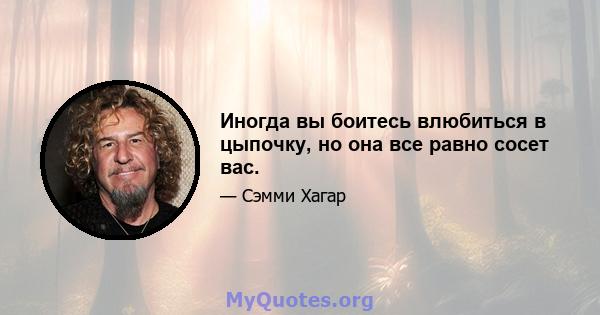 Иногда вы боитесь влюбиться в цыпочку, но она все равно сосет вас.