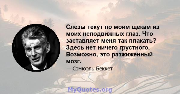 Слезы текут по моим щекам из моих неподвижных глаз. Что заставляет меня так плакать? Здесь нет ничего грустного. Возможно, это разжиженный мозг.