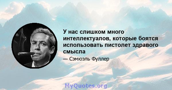 У нас слишком много интеллектуалов, которые боятся использовать пистолет здравого смысла