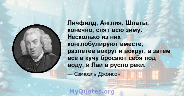 Личфилд, Англия. Шлаты, конечно, спят всю зиму. Несколько из них конглобулируют вместе, разлетев вокруг и вокруг, а затем все в кучу бросают себя под воду, и Лай в русло реки.