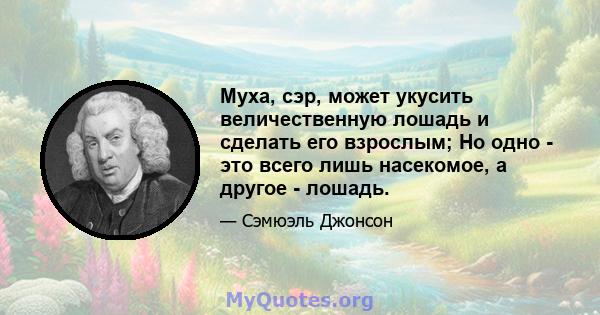 Муха, сэр, может укусить величественную лошадь и сделать его взрослым; Но одно - это всего лишь насекомое, а другое - лошадь.