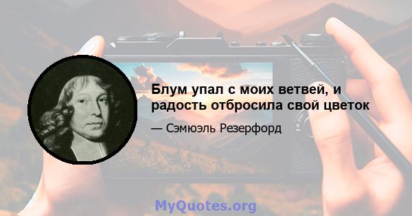 Блум упал с моих ветвей, и радость отбросила свой цветок