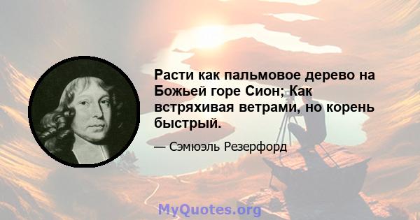 Расти как пальмовое дерево на Божьей горе Сион; Как встряхивая ветрами, но корень быстрый.