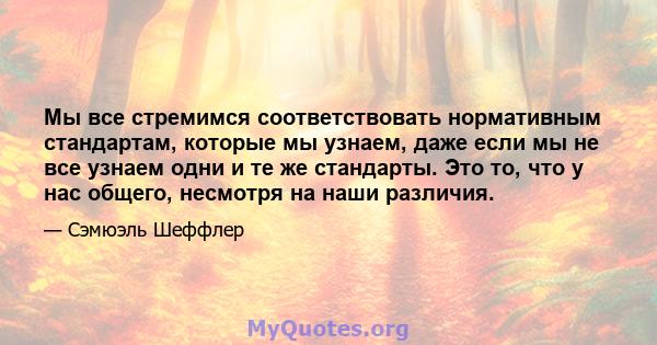 Мы все стремимся соответствовать нормативным стандартам, которые мы узнаем, даже если мы не все узнаем одни и те же стандарты. Это то, что у нас общего, несмотря на наши различия.