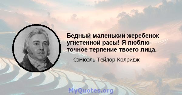 Бедный маленький жеребенок угнетенной расы! Я люблю точное терпение твоего лица.