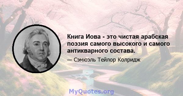 Книга Иова - это чистая арабская поэзия самого высокого и самого антикварного состава.