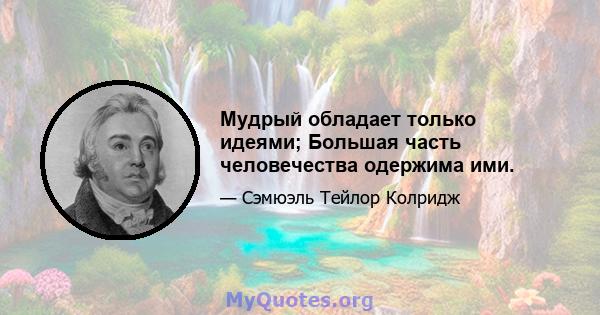 Мудрый обладает только идеями; Большая часть человечества одержима ими.