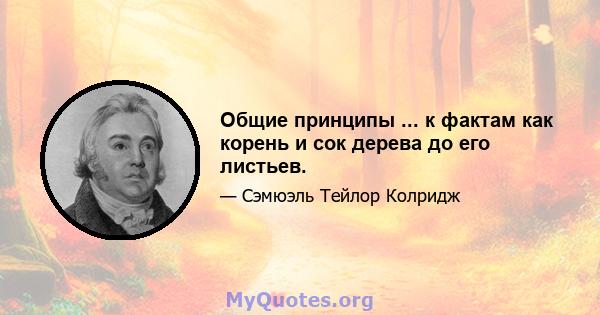 Общие принципы ... к фактам как корень и сок дерева до его листьев.