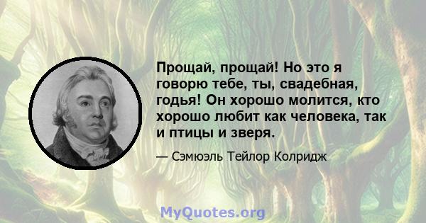 Прощай, прощай! Но это я говорю тебе, ты, свадебная, годья! Он хорошо молится, кто хорошо любит как человека, так и птицы и зверя.