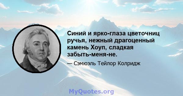 Синий и ярко-глаза цветочниц ручья, нежный драгоценный камень Хоуп, сладкая забыть-меня-не.