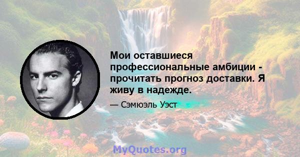 Мои оставшиеся профессиональные амбиции - прочитать прогноз доставки. Я живу в надежде.