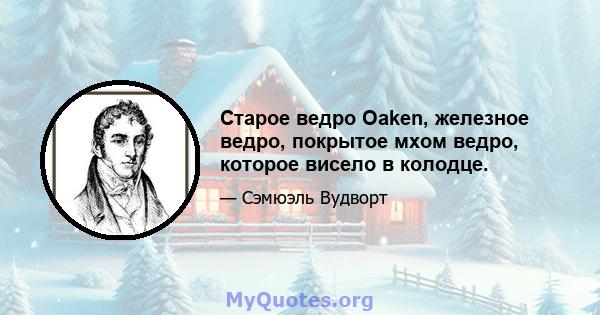 Старое ведро Oaken, железное ведро, покрытое мхом ведро, которое висело в колодце.