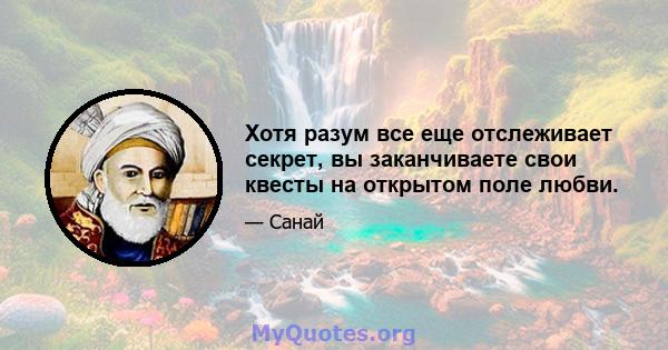 Хотя разум все еще отслеживает секрет, вы заканчиваете свои квесты на открытом поле любви.