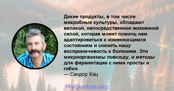 Дикие продукты, в том числе микробные культуры, обладают великой, непосредственной жизненной силой, которая может помочь нам адаптироваться к изменяющимся состояниям и снизить нашу восприимчивость к болезням. Эти