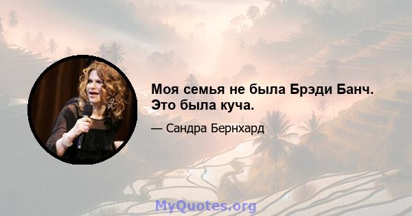 Моя семья не была Брэди Банч. Это была куча.