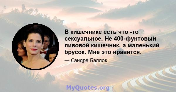 В кишечнике есть что -то сексуальное. Не 400-фунтовый пивовой кишечник, а маленький брусок. Мне это нравится.