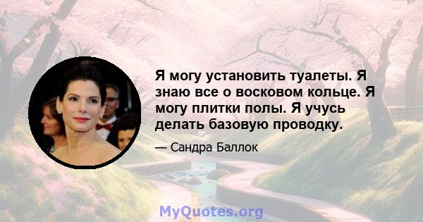 Я могу установить туалеты. Я знаю все о восковом кольце. Я могу плитки полы. Я учусь делать базовую проводку.