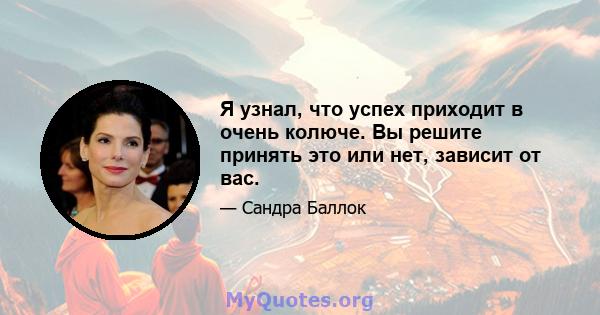 Я узнал, что успех приходит в очень колюче. Вы решите принять это или нет, зависит от вас.