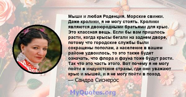 Мыши и любая Роденция. Морские свинки. Даже кролики, я не могу стоять. Кролики являются двоюродными братьями для крыс. Это классная вещь. Если бы вам пришлось расти, когда крысы бегали на заднем дворе, потому что