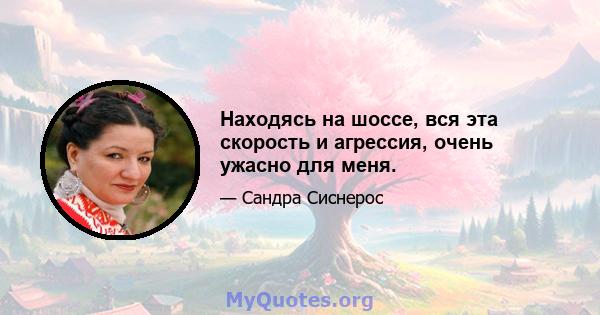 Находясь на шоссе, вся эта скорость и агрессия, очень ужасно для меня.