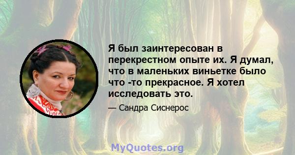 Я был заинтересован в перекрестном опыте их. Я думал, что в маленьких виньетке было что -то прекрасное. Я хотел исследовать это.